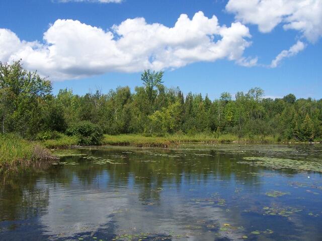 5 Hayes Lane Cheboygan, MI 49721 - Photo 12 of 13 Gallery Image 12