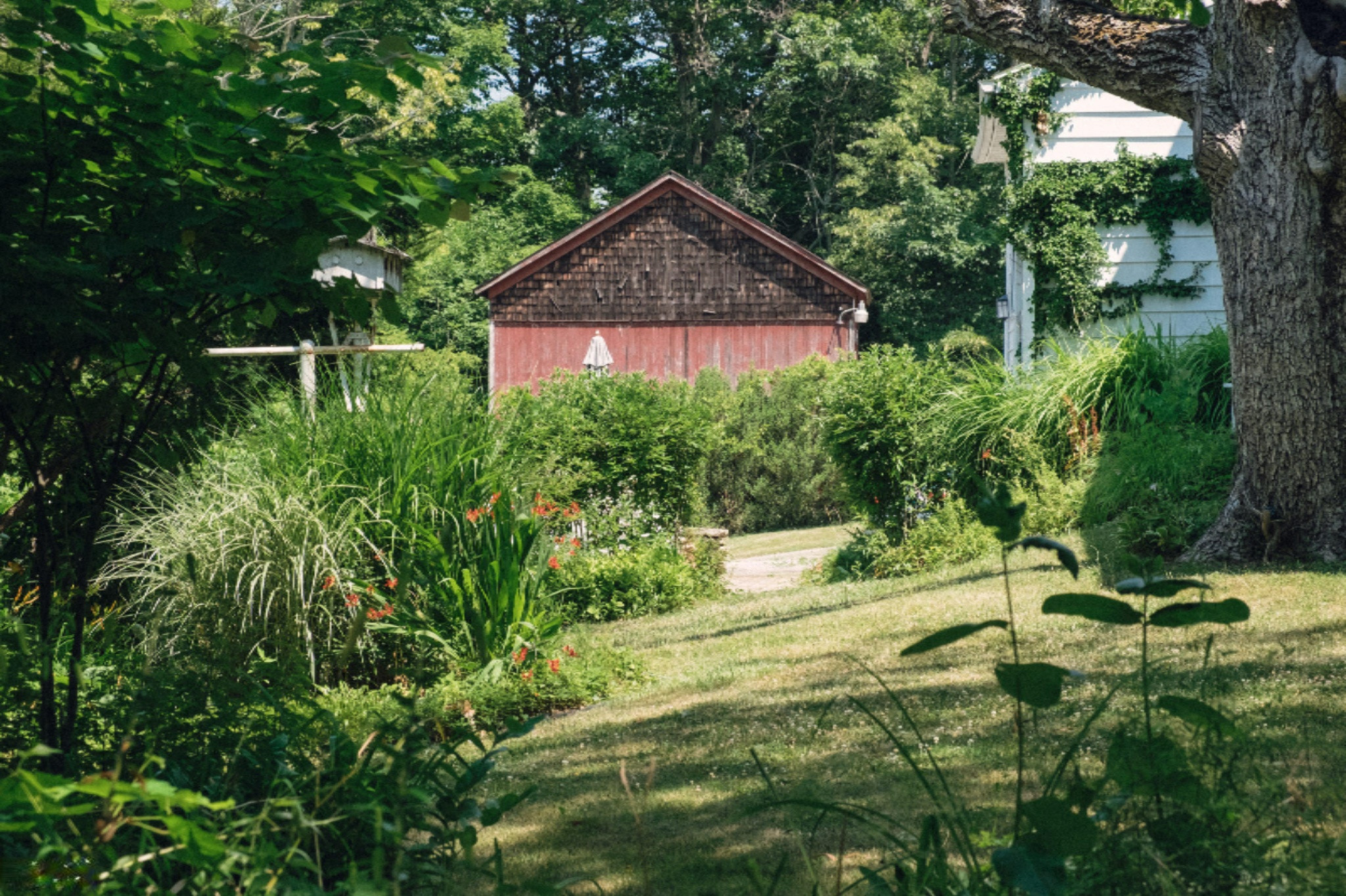 5624 Spring Hill Road Coloma, MI 49038 - Photo 75 of 75 20160719-_DSF0149