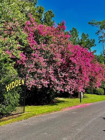 $615,000 | 22 Wishing Well Court, Covington, LA 70433