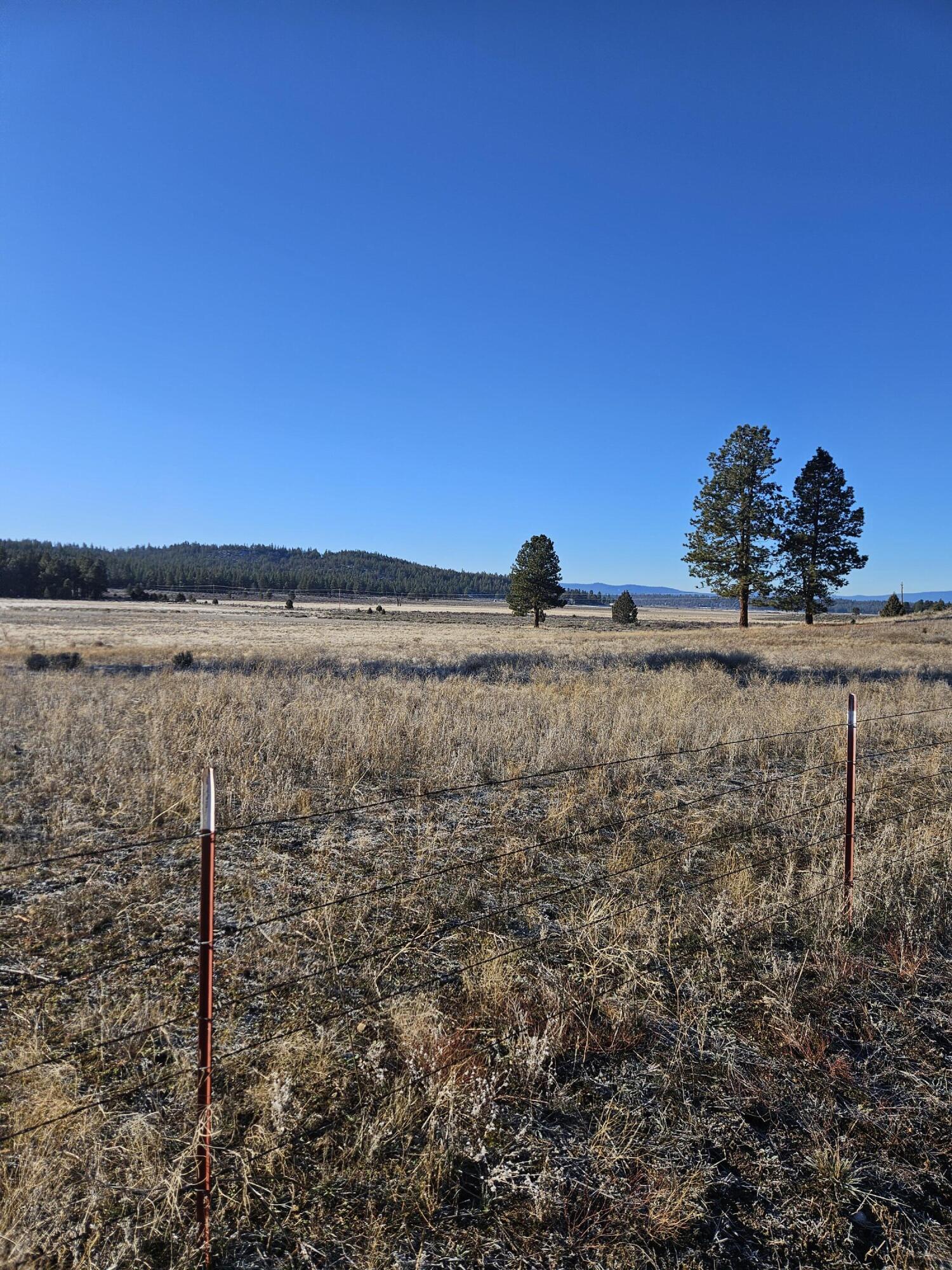 31747 Godowa Springs Road Beatty, OR 97621 - Photo 7 of 23 20260117_093741