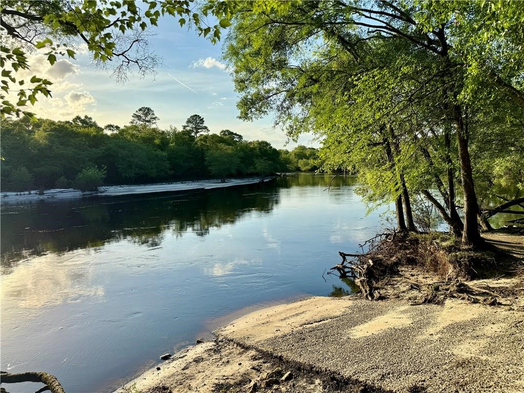 41 Middle Road Hortense, GA 31543 - Photo 2 of 22 Walking distance to the Satilla River.