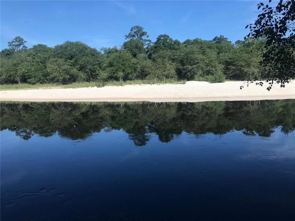 41 Middle Road Hortense, GA 31543 - Photo 21 of 22 Satilla River