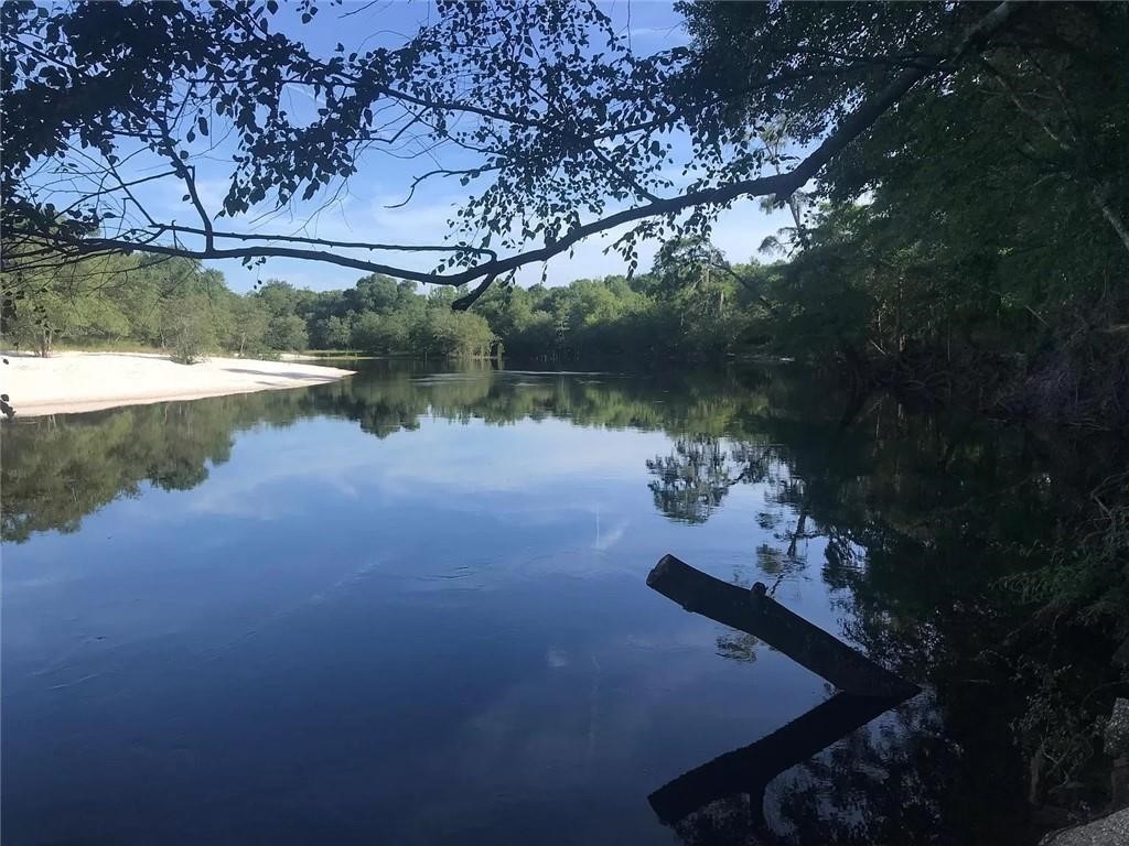 41 Middle Road Hortense, GA 31543 - Photo 22 of 22 Satilla River