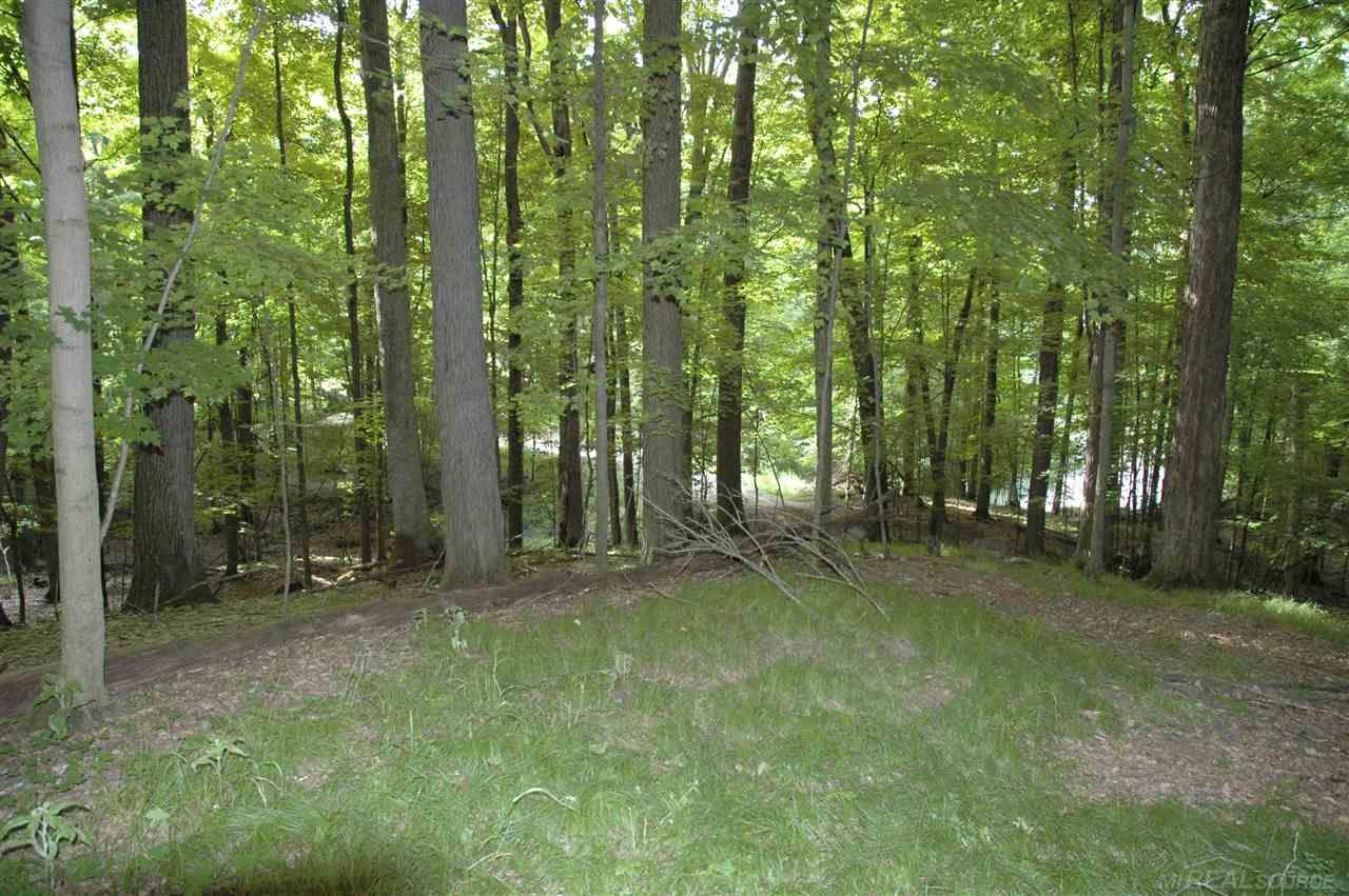 4920 Hosner Road Metamora, MI 48455 - Photo 9 of 14