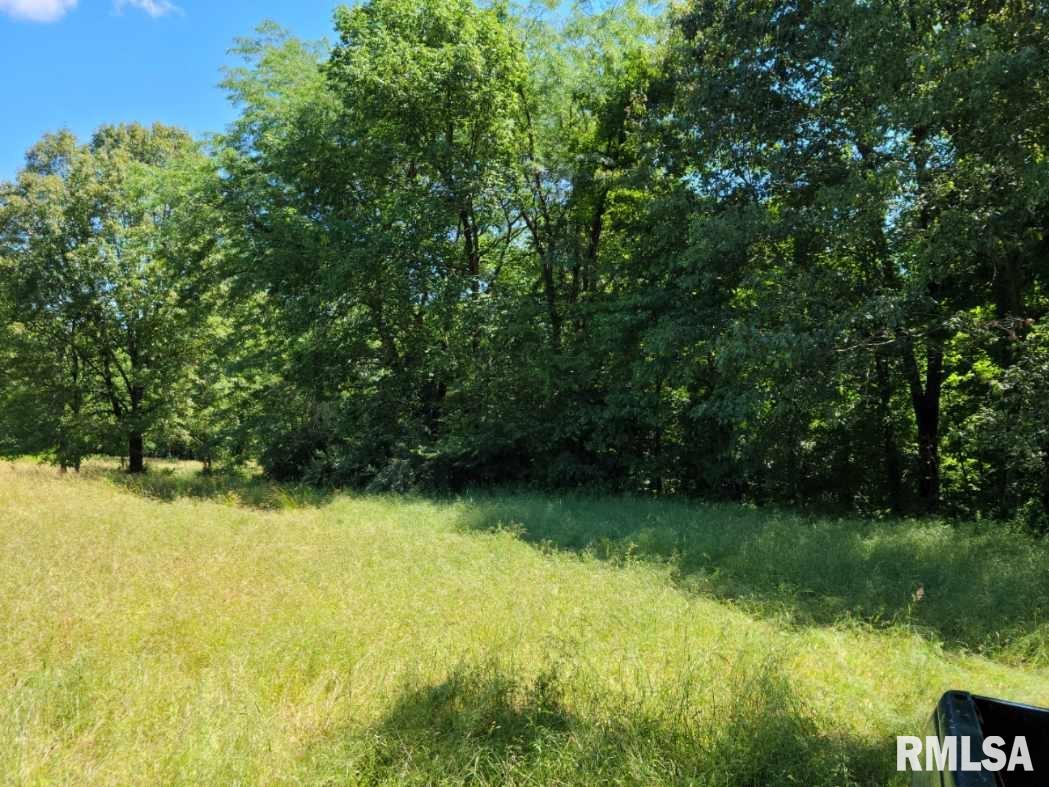 0 Body Barn Road Anna, IL 62906 - Photo 2 of 5 Gallery Image 2
