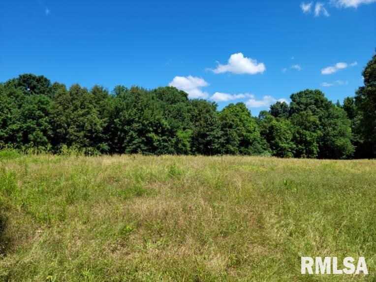 0 Body Barn Road Anna, IL 62906 - Photo 5 of 5 Gallery Image 5