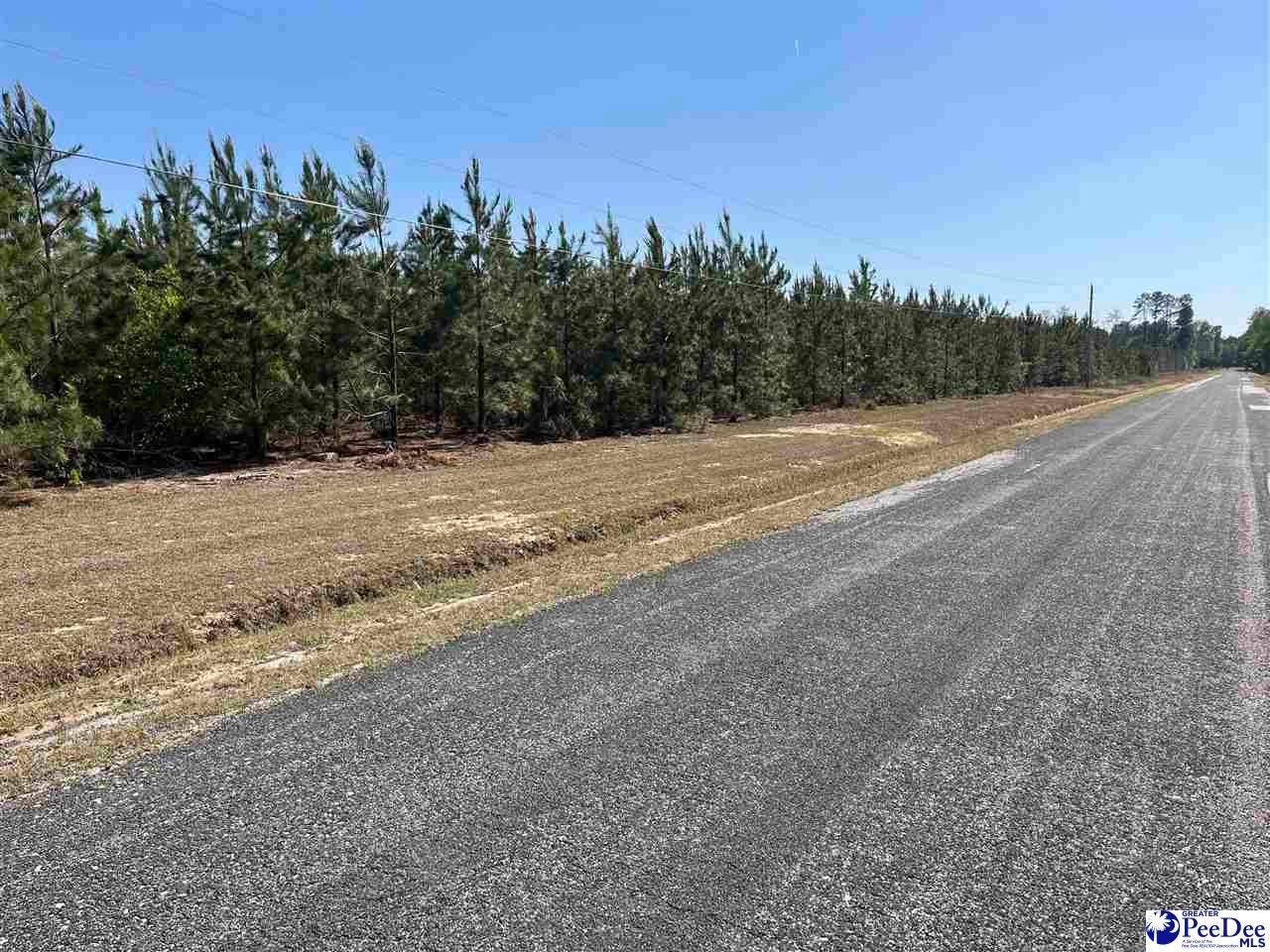 Fore Road Latta, SC 29565 - Photo 1 of 7 Gallery Image 1