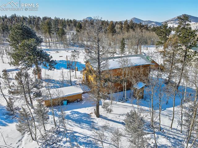277 Elk View Road Florissant, CO 80816 - Photo 35 of 45