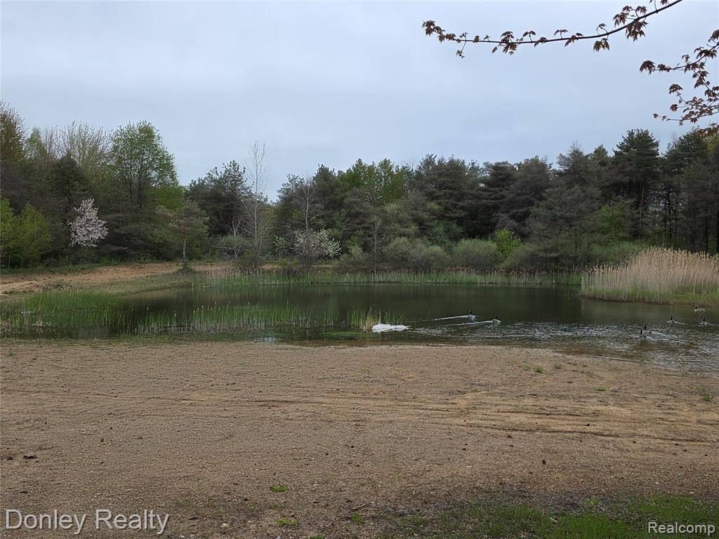 7751 Vincent Road Croswell, MI 48422 - Photo 11 of 12