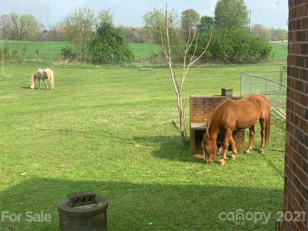 2300 Lee Bess Road Cherryville, NC 28021 - Photo 23 of 43 Gallery Image 23
