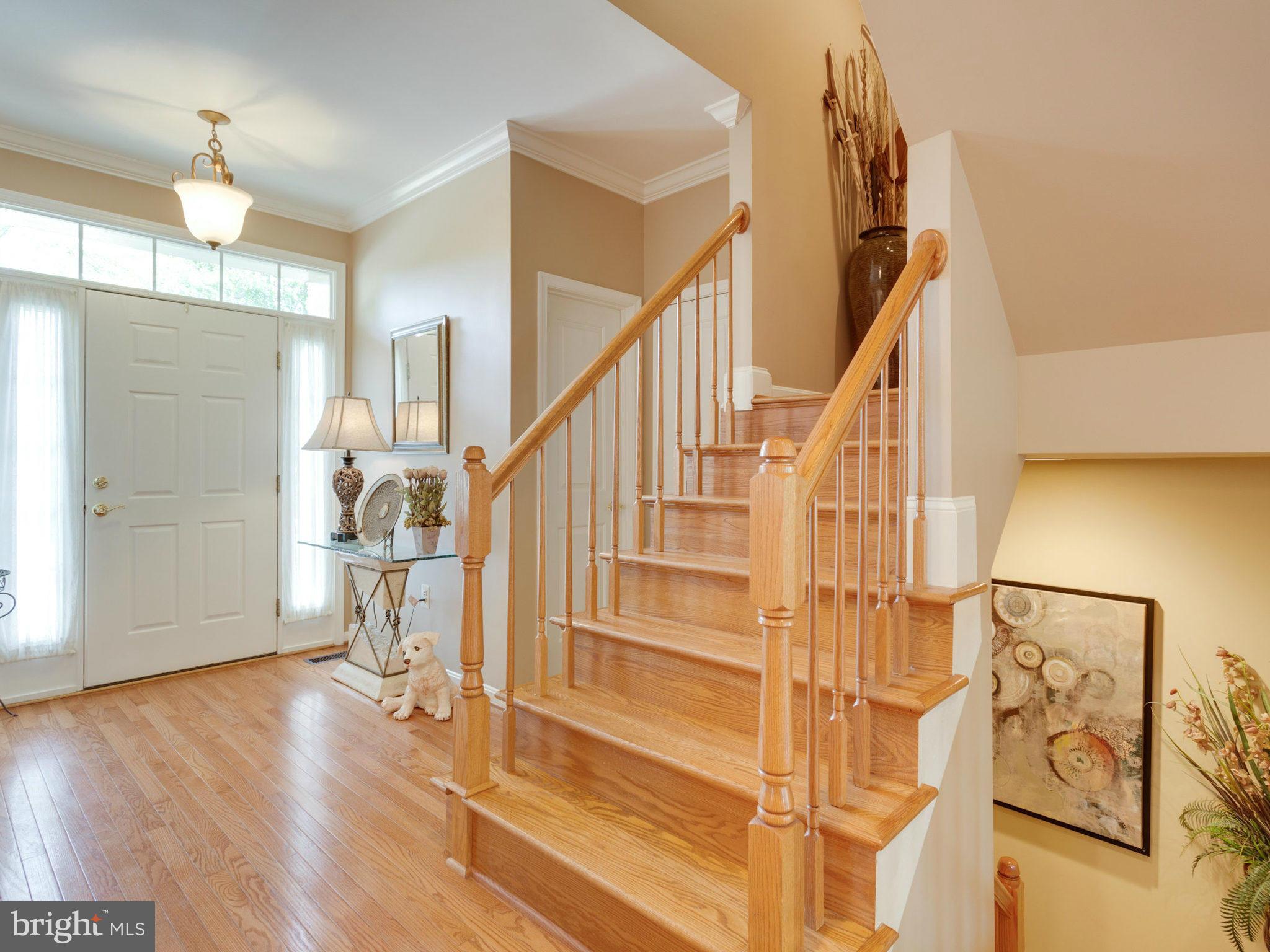 7701 Ridgepark Court Springfield, VA 22153 - Photo 2 of 30 Foyer