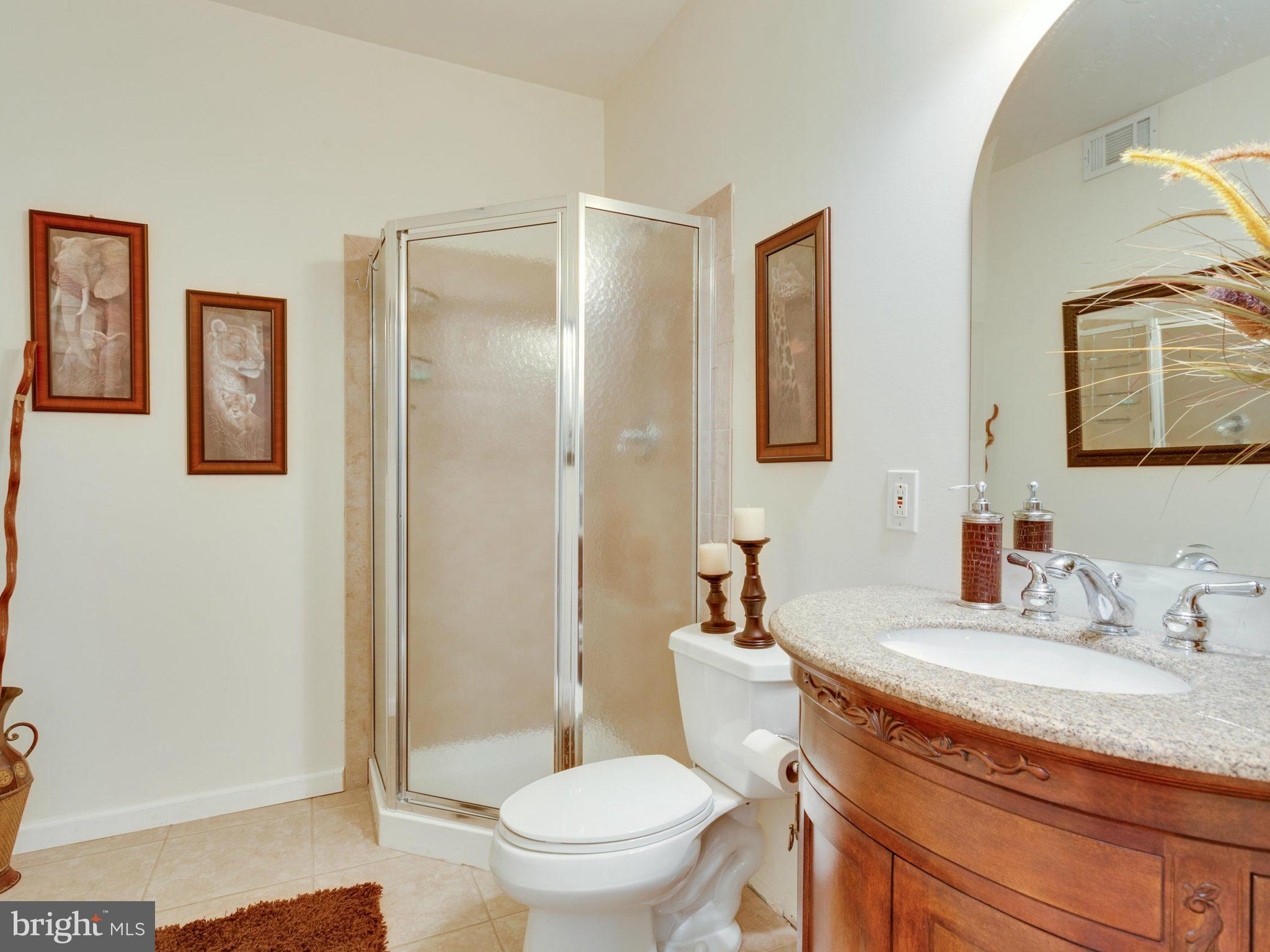 7701 Ridgepark Court Springfield, VA 22153 - Photo 25 of 30 Bathroom