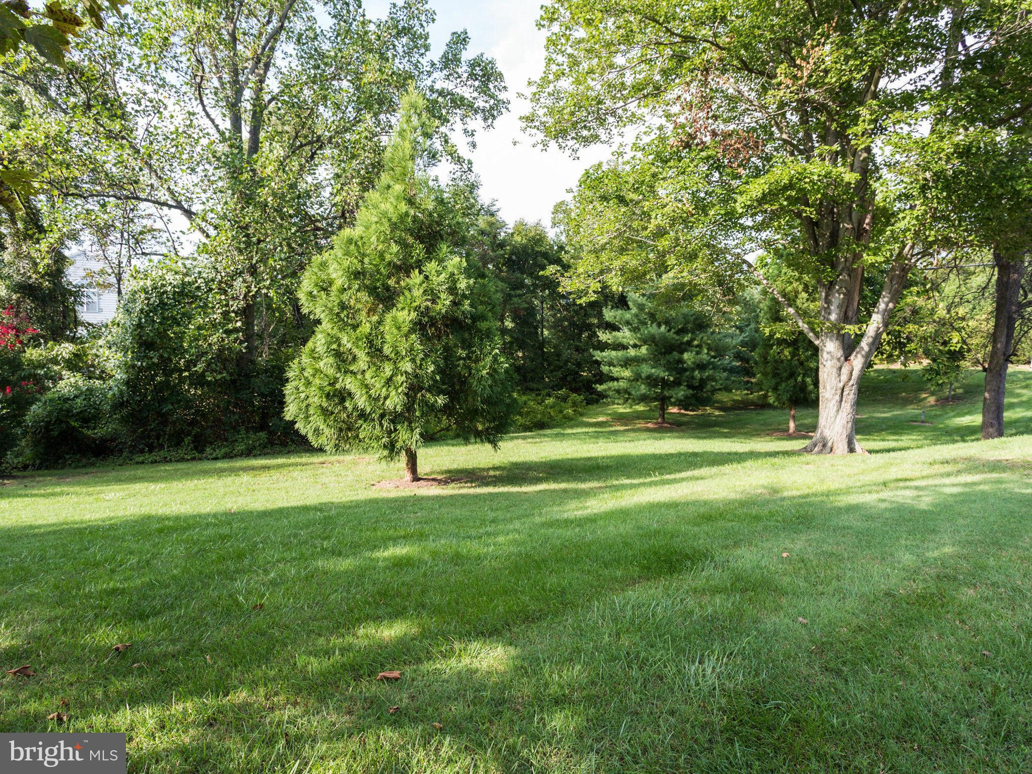 7701 Ridgepark Court Springfield, VA 22153 - Photo 29 of 30 Exterior yard view