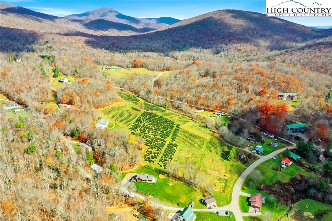 6104 Howard's Creek Road Boone, NC 28607 - Photo 11 of 50