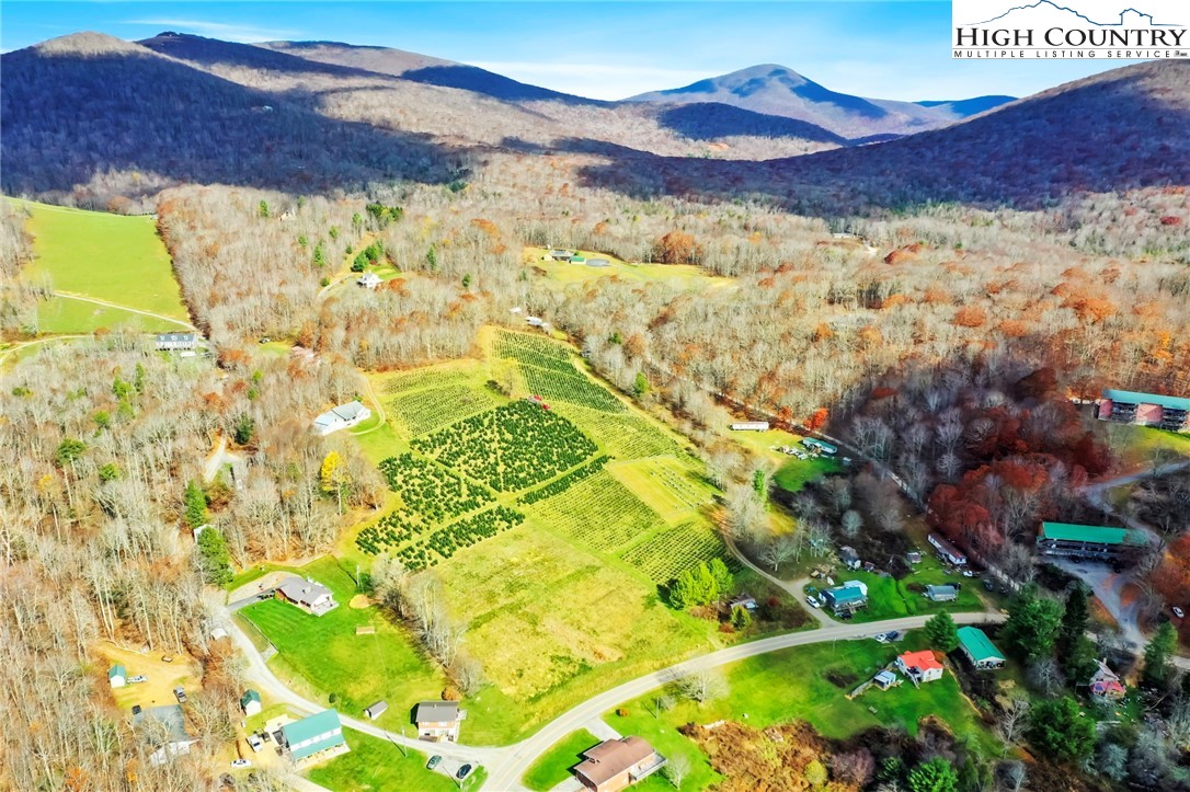 6104 Howard's Creek Road Boone, NC 28607 - Photo 12 of 50