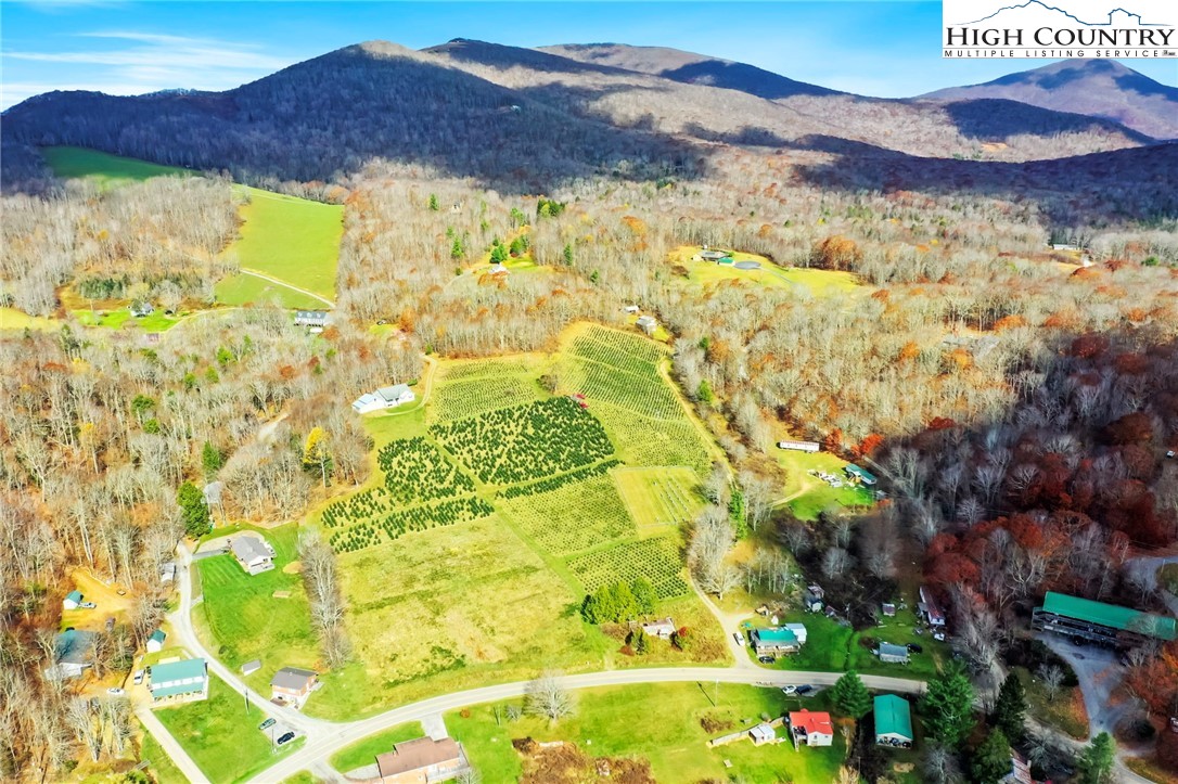 6104 Howard's Creek Road Boone, NC 28607 - Photo 13 of 50