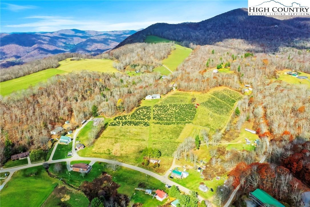 6104 Howard's Creek Road Boone, NC 28607 - Photo 14 of 50