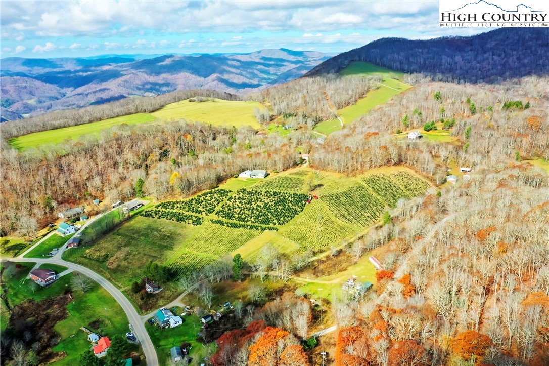 6104 Howard's Creek Road Boone, NC 28607 - Photo 15 of 50