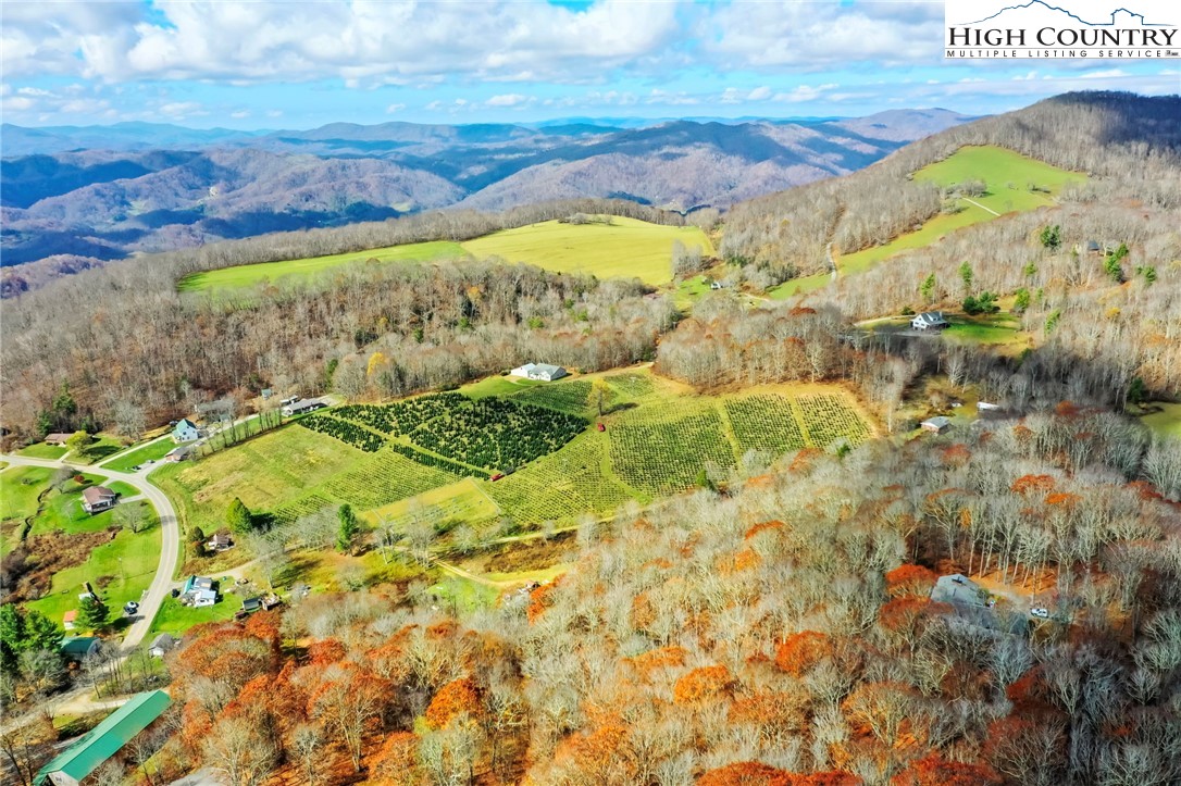 6104 Howard's Creek Road Boone, NC 28607 - Photo 16 of 50