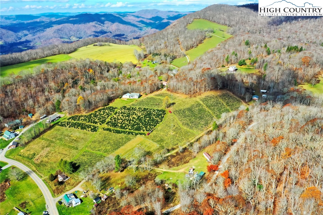 6104 Howard's Creek Road Boone, NC 28607 - Photo 17 of 50