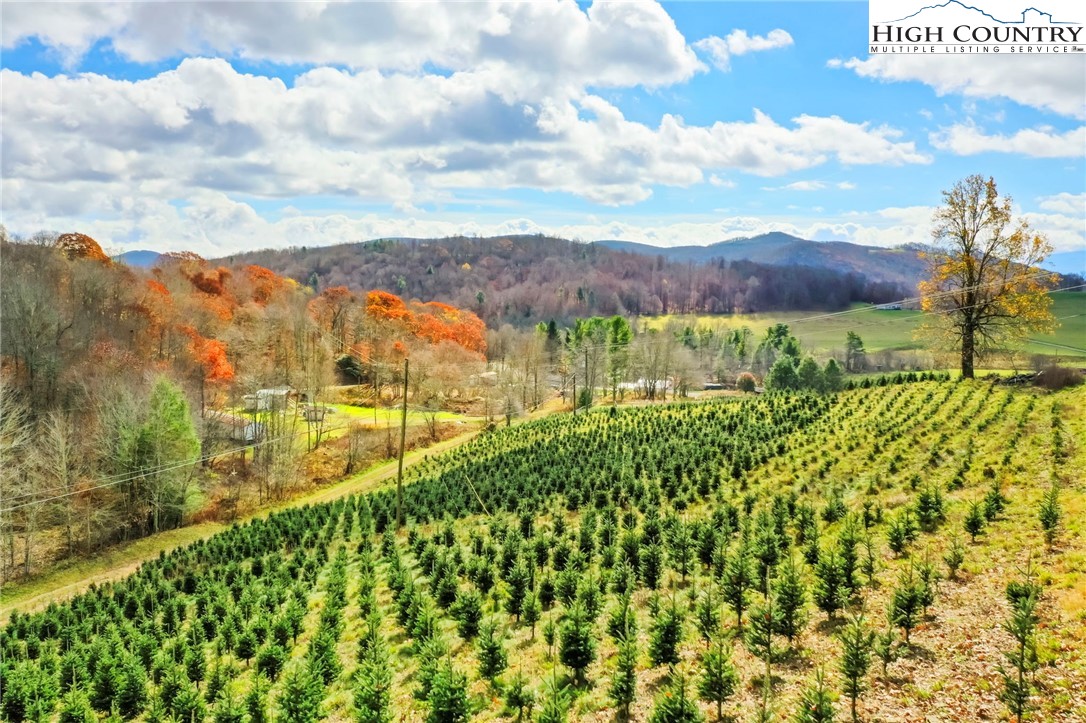 6104 Howard's Creek Road Boone, NC 28607 - Photo 18 of 50