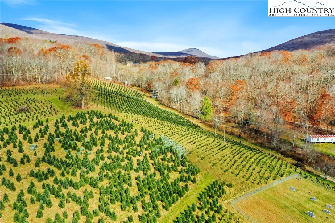 6104 Howard's Creek Road Boone, NC 28607 - Photo 21 of 50