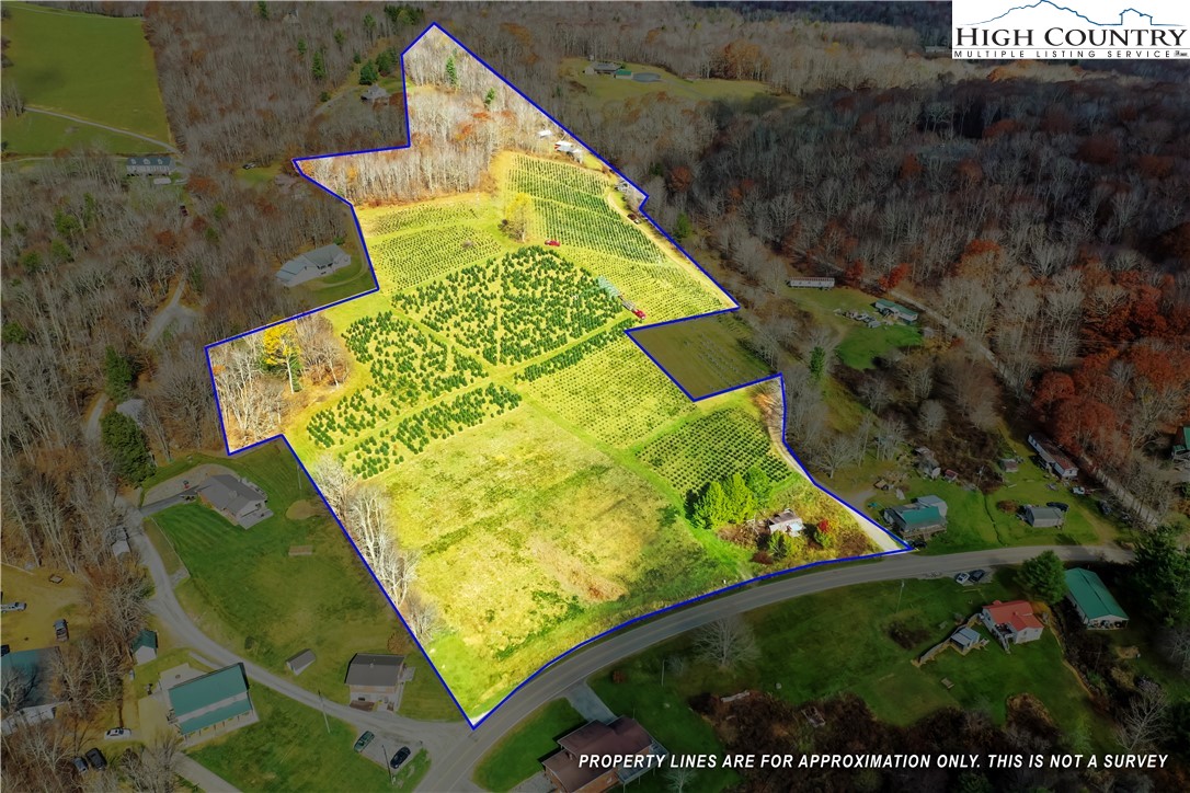 6104 Howard's Creek Road Boone, NC 28607 - Photo 3 of 50