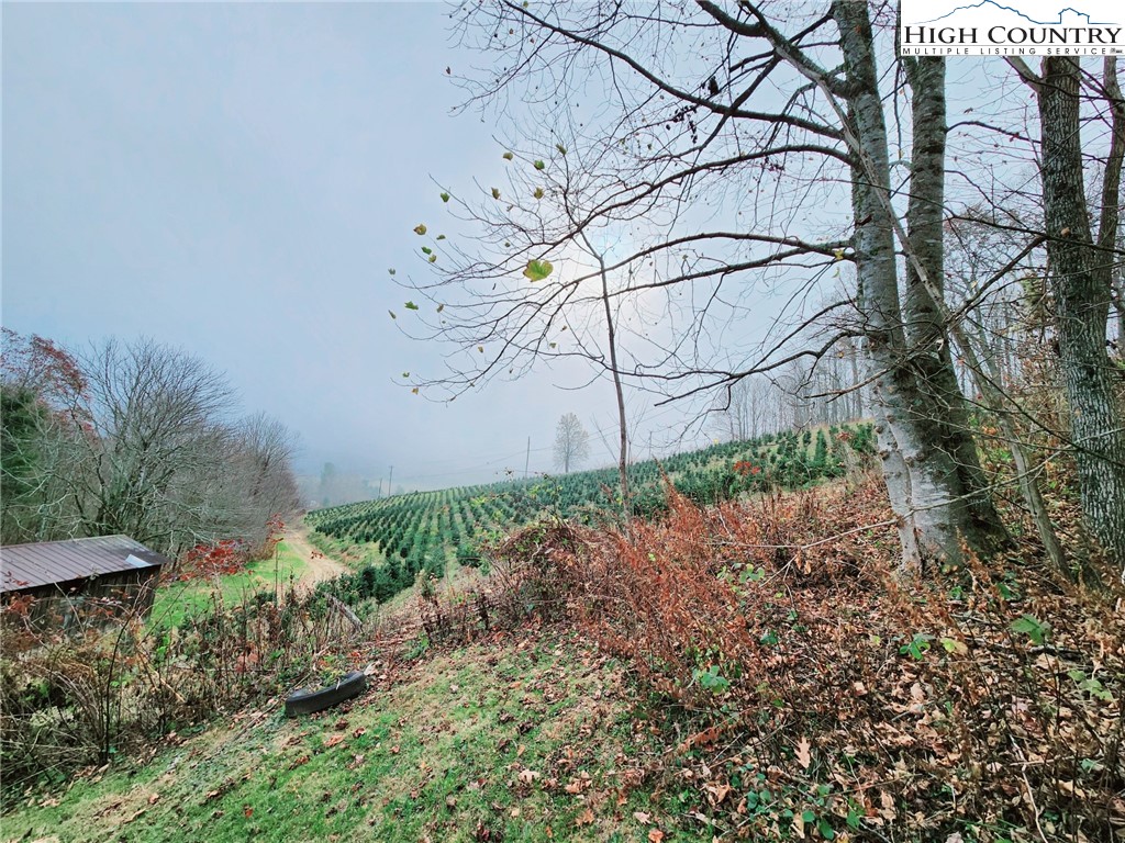 6104 Howard's Creek Road Boone, NC 28607 - Photo 36 of 50