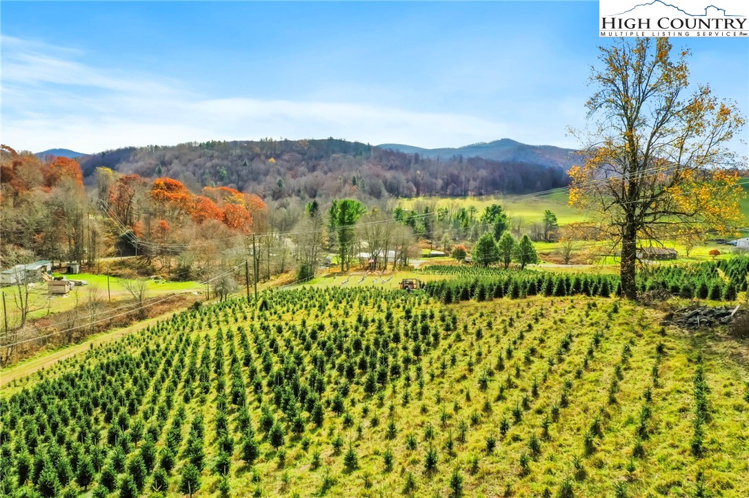 6104 Howard's Creek Road Boone, NC 28607 - Photo 4 of 50