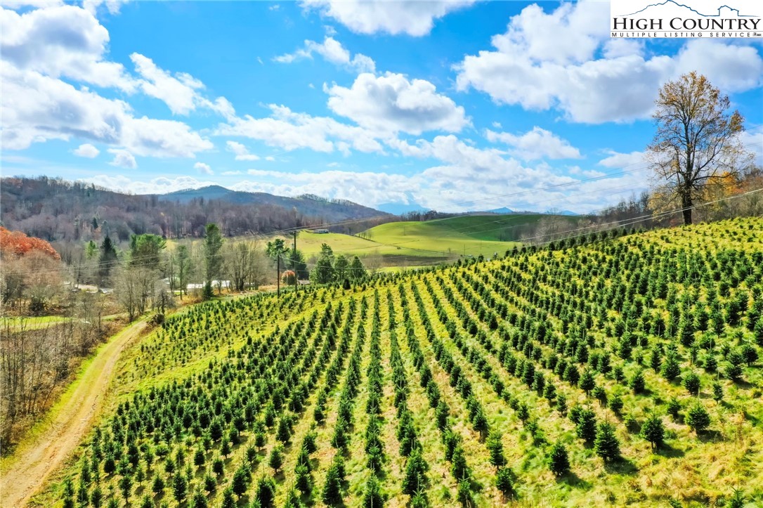 6104 Howard's Creek Road Boone, NC 28607 - Photo 5 of 50