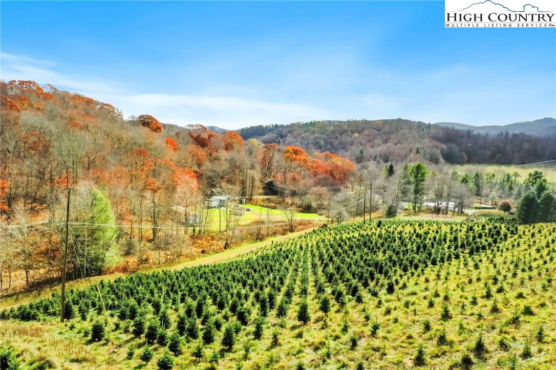 6104 Howard's Creek Road Boone, NC 28607 - Photo 6 of 50