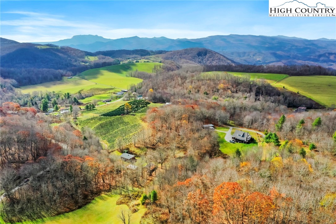 6104 Howard's Creek Road Boone, NC 28607 - Photo 7 of 50