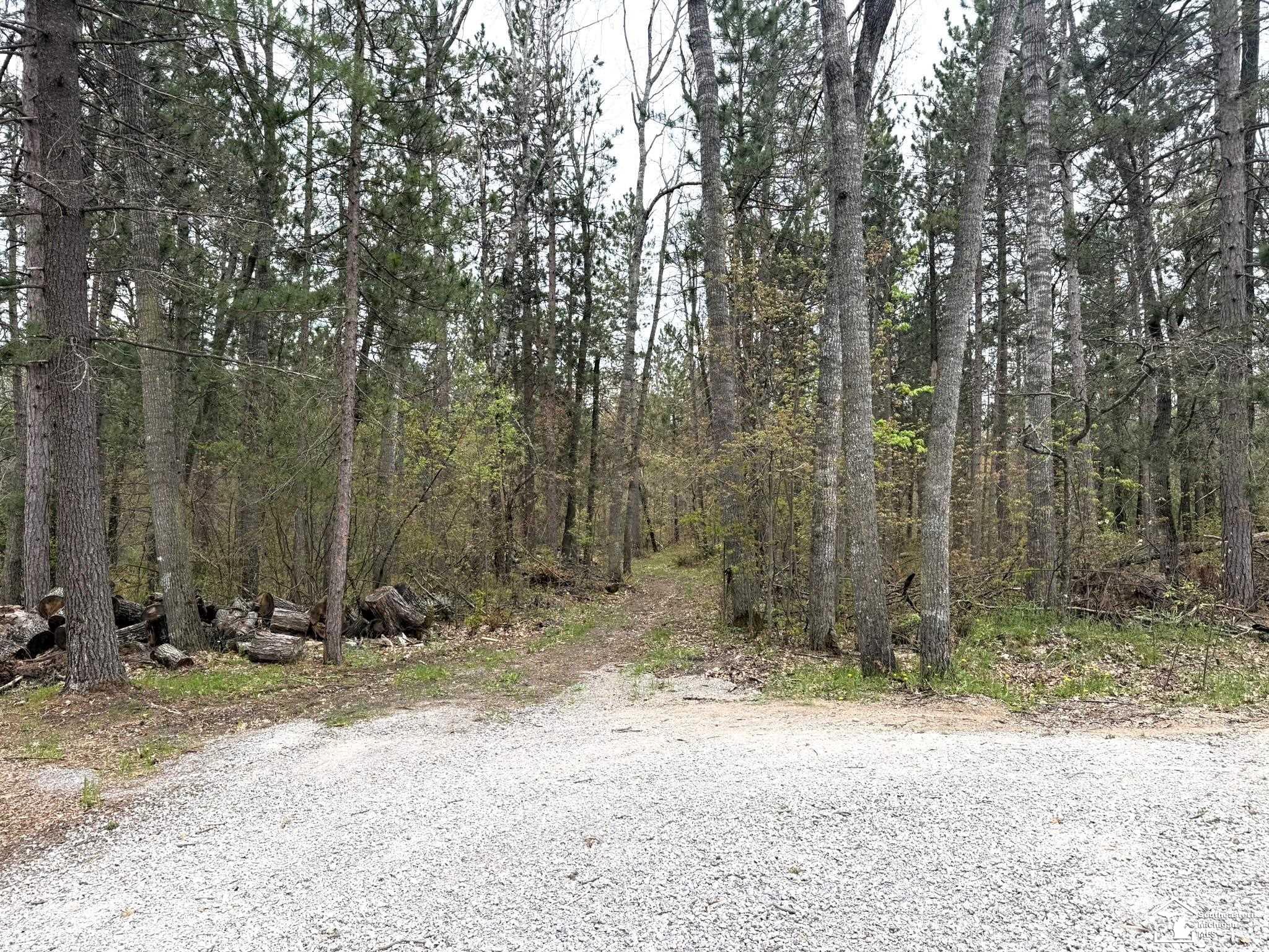 1391 West Hill Road Lewiston, MI 49756 - Photo 35 of 42
