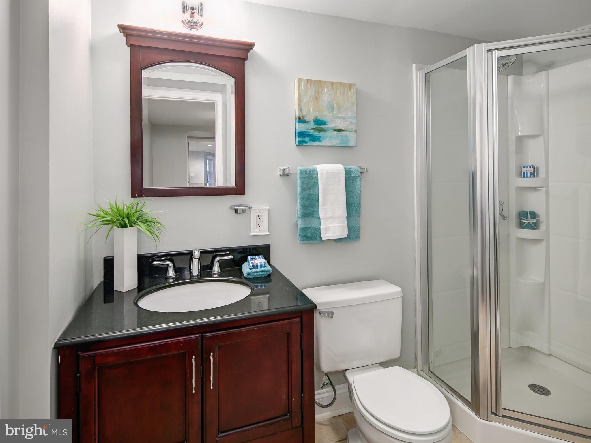 943 T Street Northwest Washington, DC 20001 - Photo 28 of 30 Bath