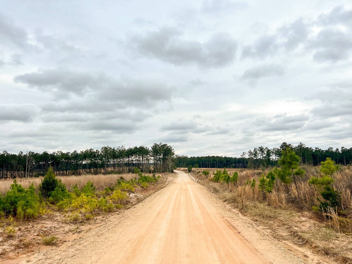 1 B Hardin Hideout Road Moscow, TX 75960 - Photo 3 of 14