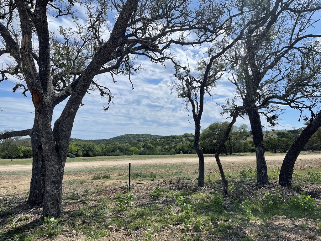 Lot 181 West Starview Road, Unit 181 Blanco, TX 78606 - Photo 32 of 32 Gallery Image 32