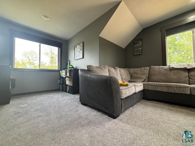 3454 Anderson Road Hibbing, MN 55746 - Photo 23 of 31 Carpeted room with a vaulted ceiling and two windows