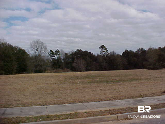 0 South Alamo Circle South Foley, AL 36535 - Photo 1 of 1