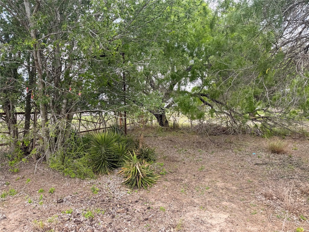 3250 Highway 281 George West, TX 78022 - Photo 3 of 5