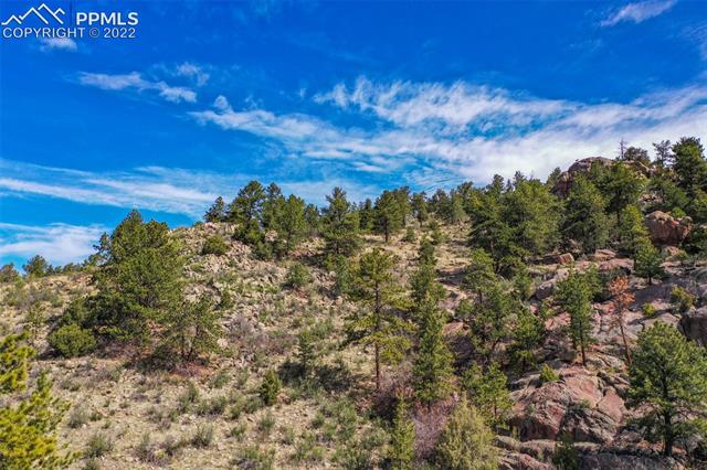 339 Chipper Road Guffey, CO 80820 - Photo 20 of 34 Gallery Image 20