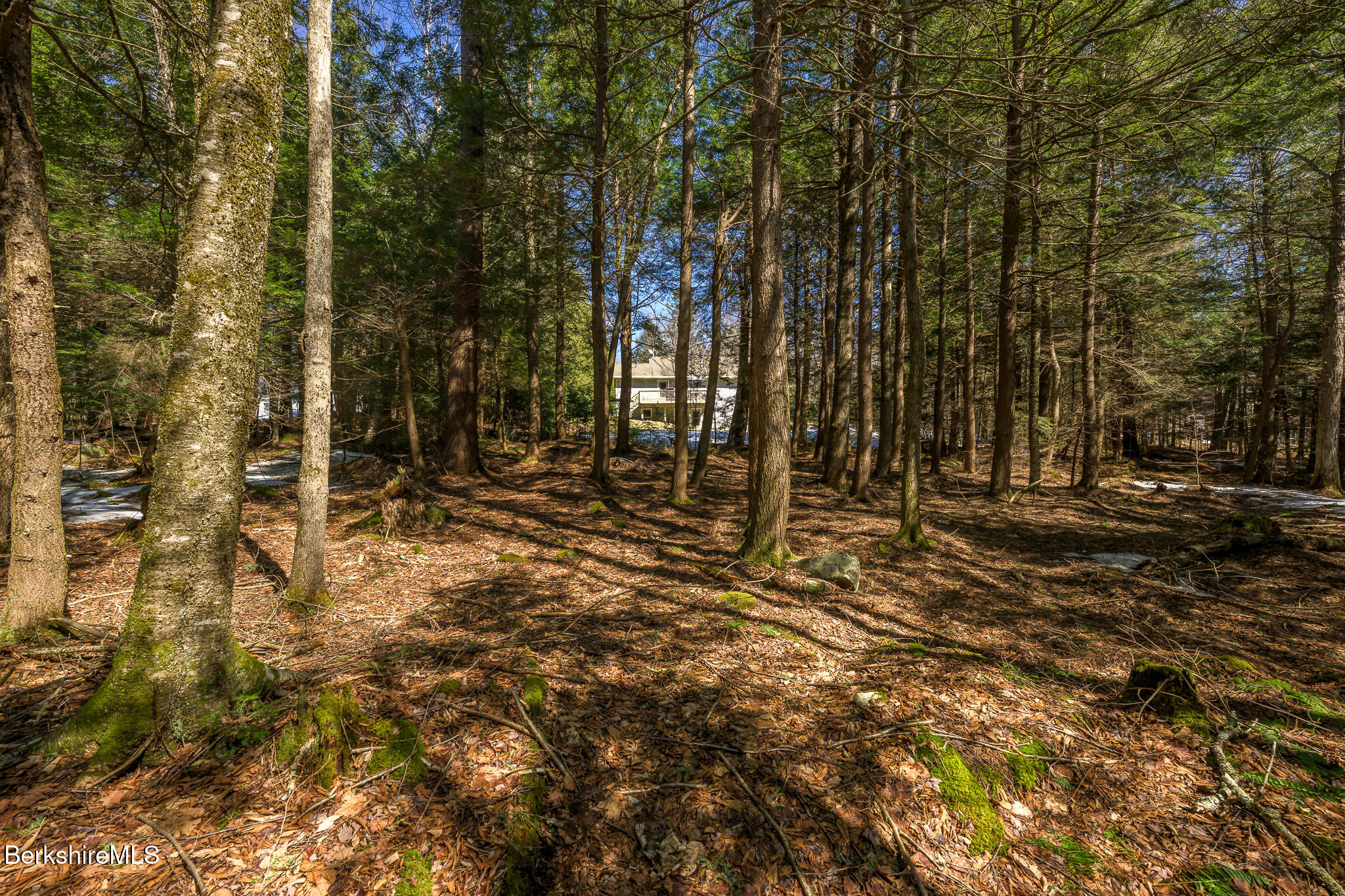 545 West Center Road Otis, MA 01253 - Photo 54 of 60 Screen - 545 W Center Rd Otis MA 01253-9
