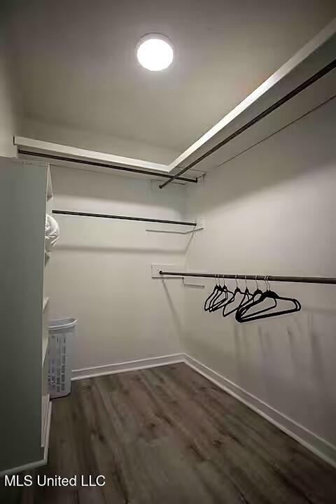 100 Vine Lane Brandon, MS 39047 - Photo 6 of 10 closet
