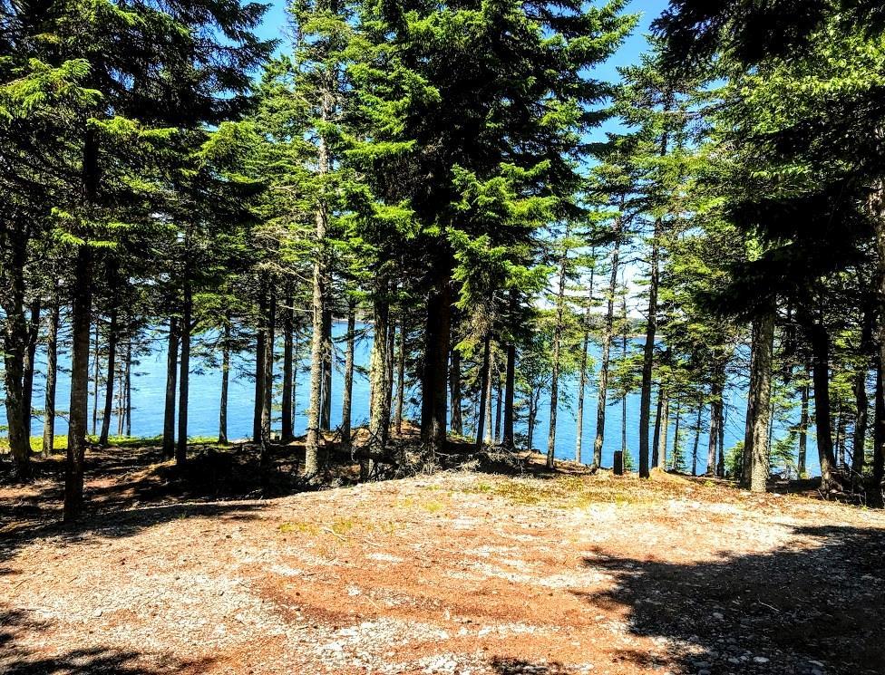 79 South Ocean Road Machiasport, ME 04655 - Photo 8 of 18 Photo