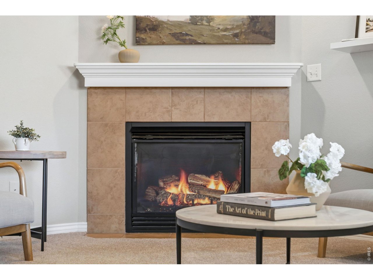 8972 Raging Bull Lane Wellington, CO 80549 - Photo 10 of 45 Gas Fireplace