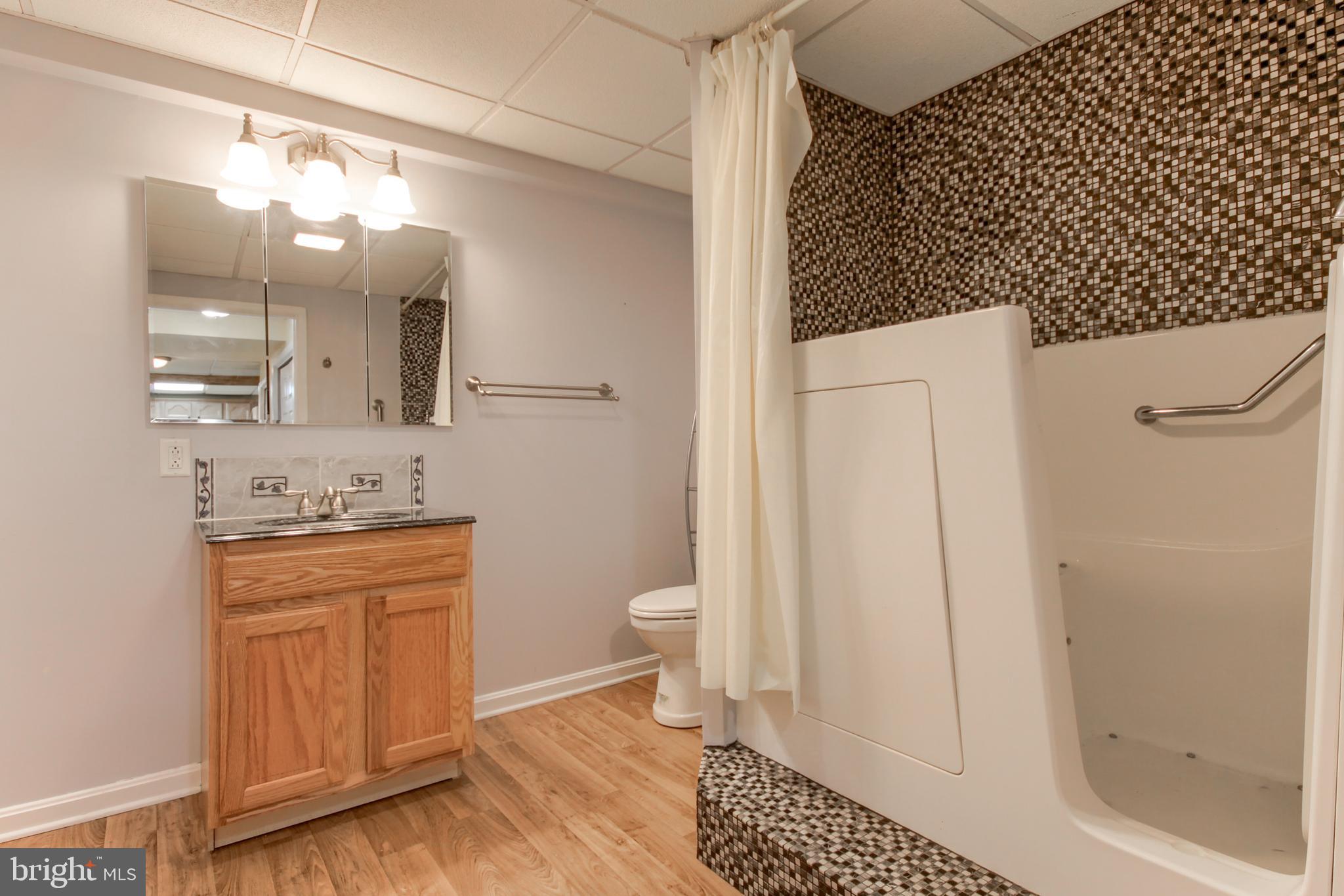 35 Ridge Avenue Carlisle, PA 17013 - Photo 29 of 32 Basement Bath