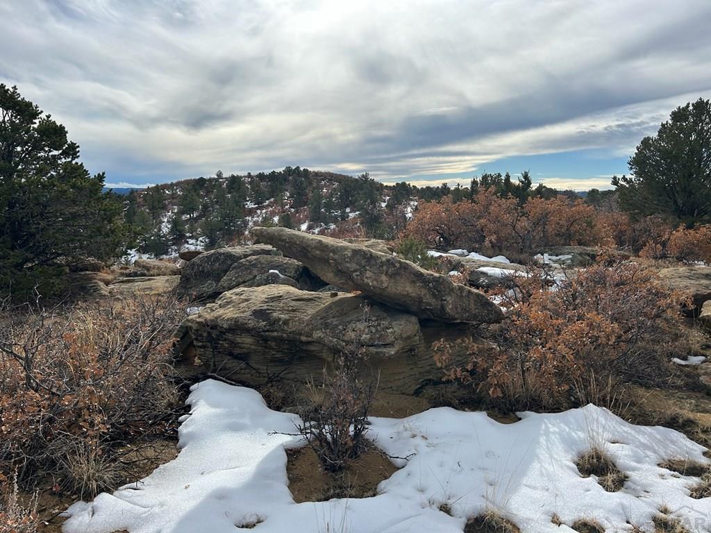 Tbd Tbd Primero Ranch Road Weston, CO 81091 - Photo 12 of 18 a view of a city that has big tree
