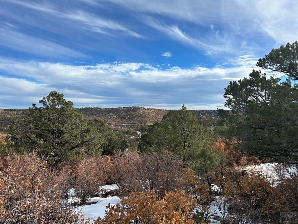 Tbd Tbd Primero Ranch Road Weston, CO 81091 - Photo 2 of 18 a view of a bunch of trees in a field