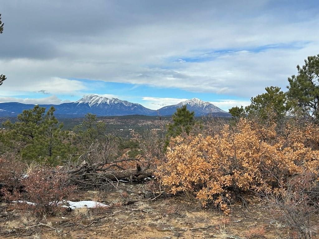 Tbd Tbd Primero Ranch Road Weston, CO 81091 - Photo 9 of 18 a view of a bunch of trees and houses