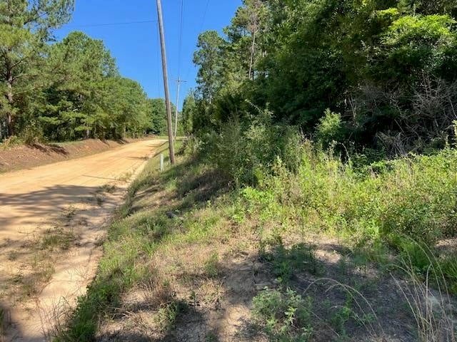 0 Rosin Ridge Road Red Level, AL 36474 - Photo 12 of 14 Gallery Image 12