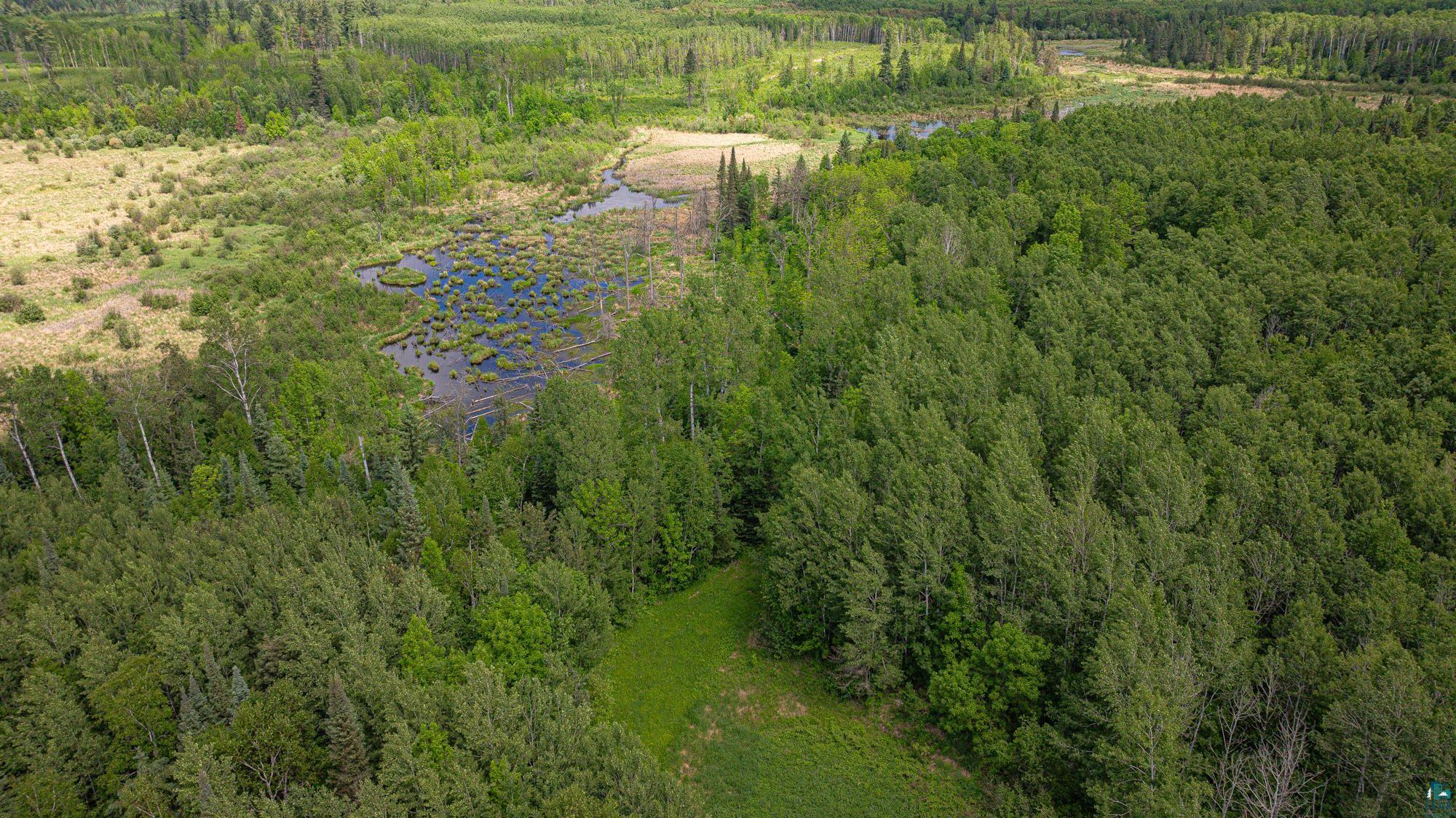 7280 Far North Road Buyck, MN 55771 - Photo 85 of 98